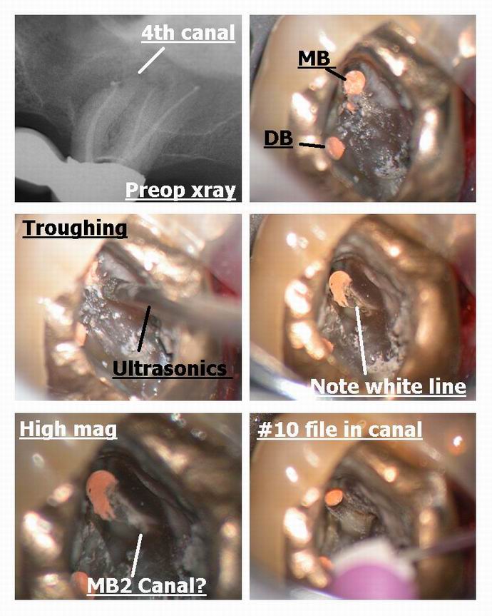 Resize of Karalic pg 1.jpg